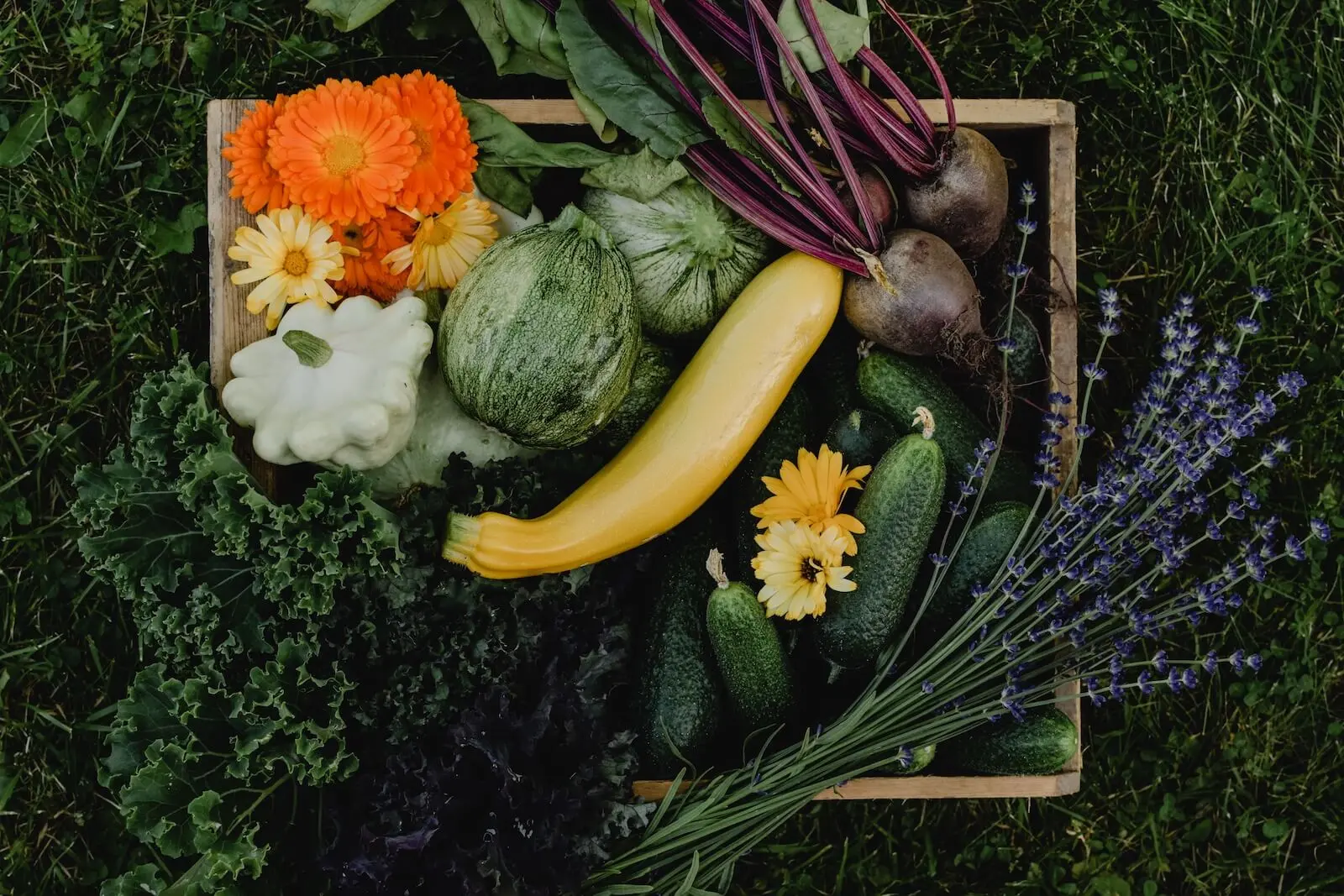 Fresh Organic Green Salad