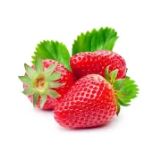Fresh Organic Strawberries